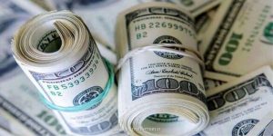 دلار نیما جایگزین ارز ترجیحی می شود؟