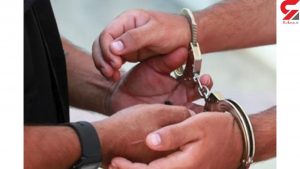 بازداشت عامل قطع برق در قرچک